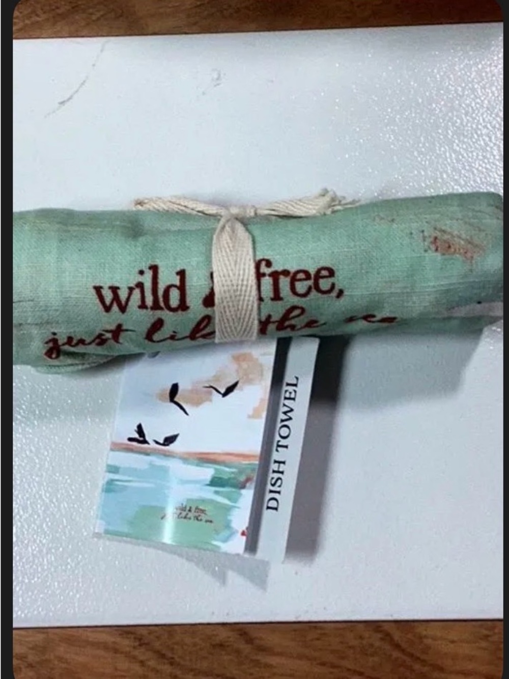 #243H Primitives by Kathy Mint Green 'Wild & Free' Dish Towel